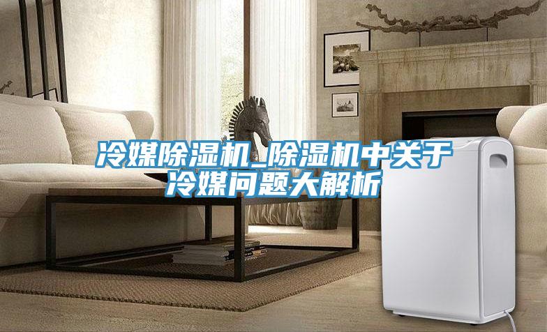 冷媒除濕機_除濕機中關(guān)于冷媒問(wèn)題大解析