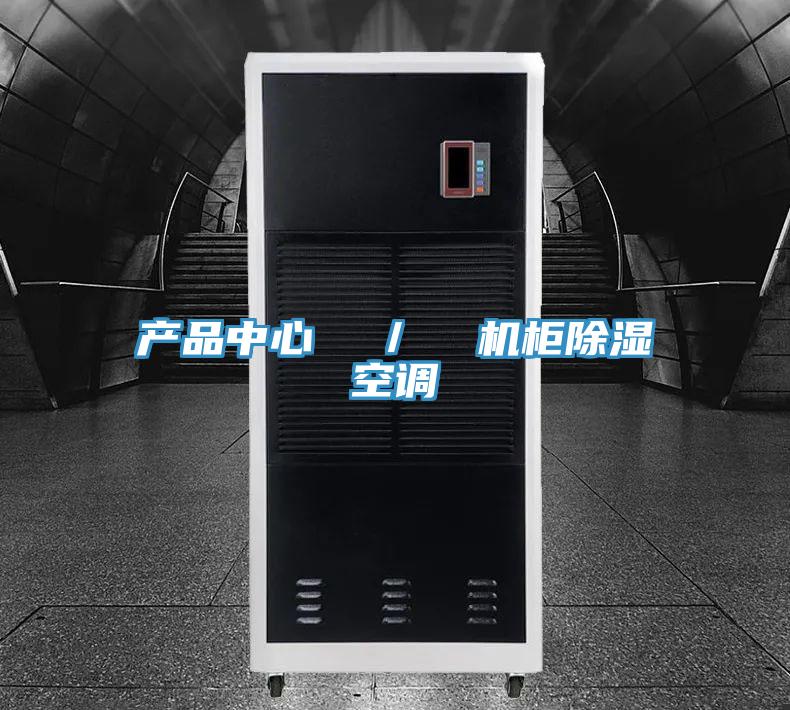 產(chǎn)品中心  ／  機柜除濕空調