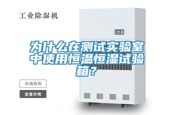 為什么在測試實(shí)驗室中使用恒溫恒濕試驗箱？