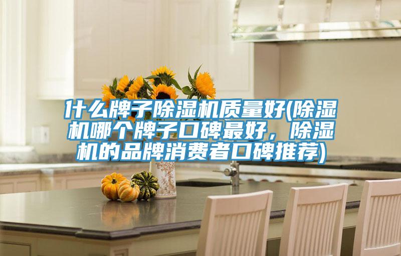 什么牌子除濕機質(zhì)量好(除濕機哪個(gè)牌子口碑最好，除濕機的品牌消費者口碑推薦)