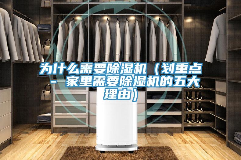 為什么需要除濕機（劃重點(diǎn) - 家里需要除濕機的五大理由）