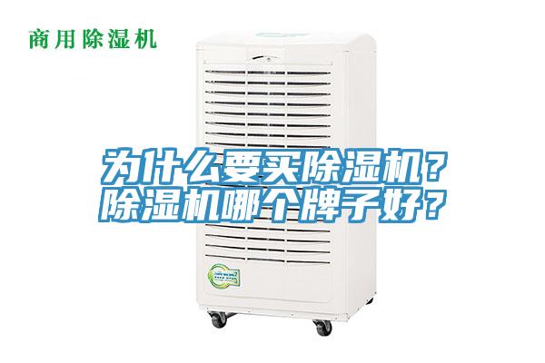 為什么要買(mǎi)除濕機？除濕機哪個(gè)牌子好？