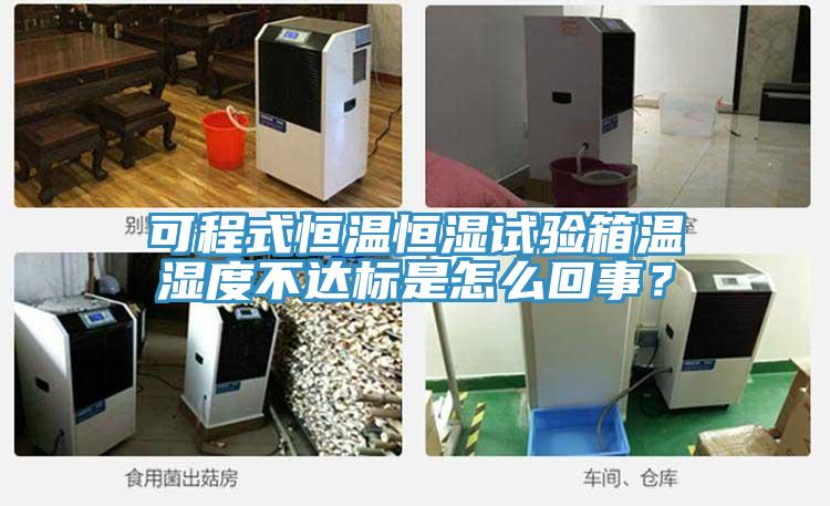 可程式恒溫恒濕試驗箱溫濕度不達標是怎么回事？