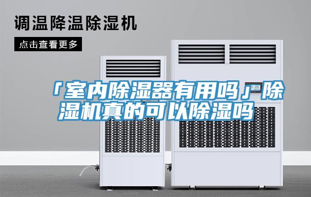「室內除濕器有用嗎」除濕機真的可以除濕嗎
