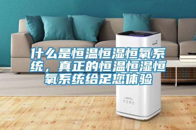 什么是恒溫恒濕恒氧系統，真正的恒溫恒濕恒氧系統給足您體驗