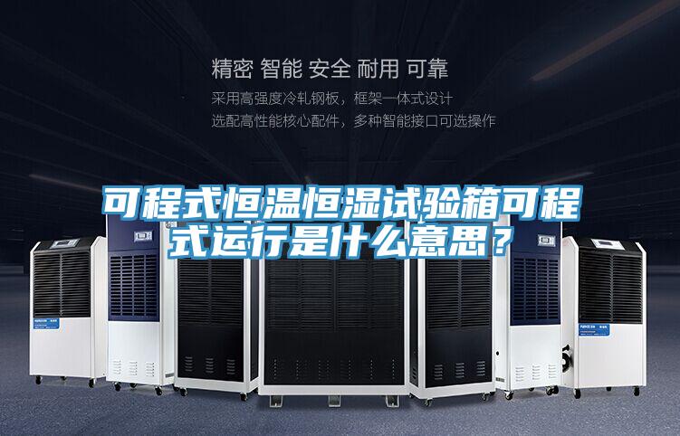 可程式恒溫恒濕試驗箱可程式運行是什么意思？
