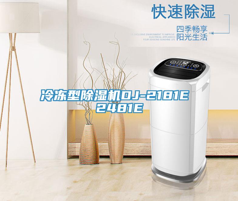 冷凍型除濕機DJ-2181E 2481E
