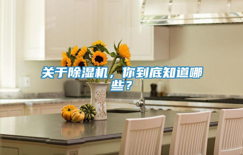 關(guān)于除濕機，你到底知道哪些？