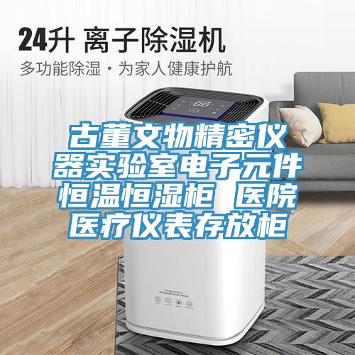 古董文物精密儀器實(shí)驗室電子元件恒溫恒濕柜 醫院醫療儀表存放柜