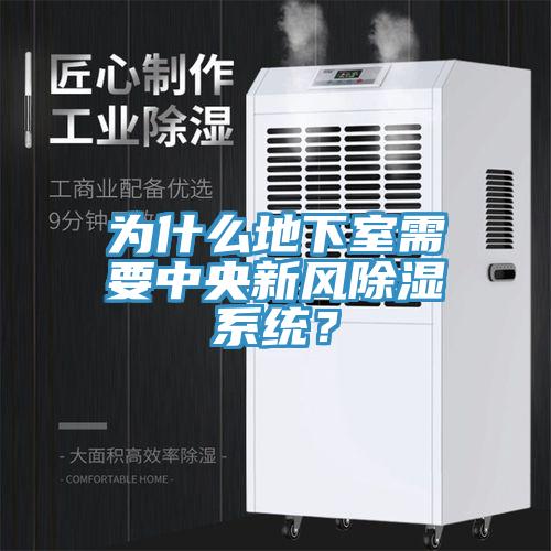 為什么地下室需要中央新風(fēng)除濕系統？