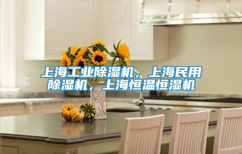 上海工業(yè)除濕機，上海民用除濕機，上海恒溫恒濕機