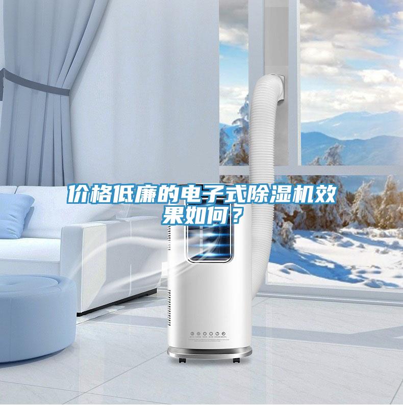 價(jià)格低廉的電子式除濕機效果如何？