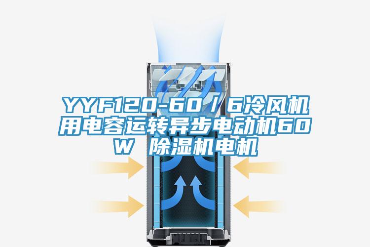 YYF120-60／6冷風(fēng)機用電容運轉異步電動(dòng)機60W 除濕機電機