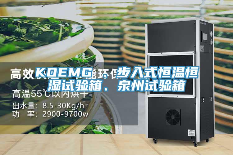 KOEMG 、步入式恒溫恒濕試驗箱、泉州試驗箱