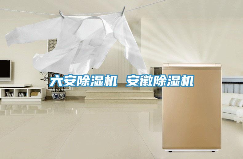 六安除濕機 安徽除濕機