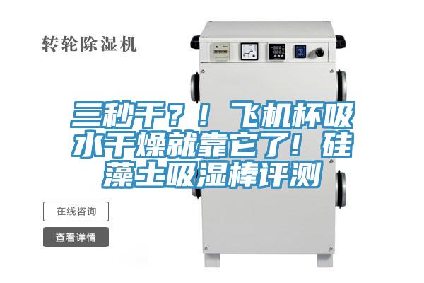三秒干？! 飛機杯吸水干燥就靠它了! 硅藻土吸濕棒評測