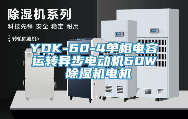 YDK-60-4單相電容運轉異步電動(dòng)機60W 除濕機電機