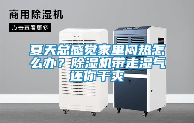 夏天總感覺(jué)家里悶熱怎么辦？除濕機帶走濕氣還你干爽