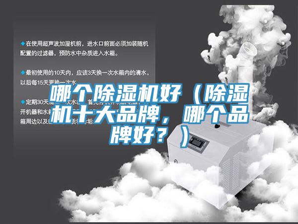 哪個(gè)除濕機好（除濕機十大品牌，哪個(gè)品牌好？）
