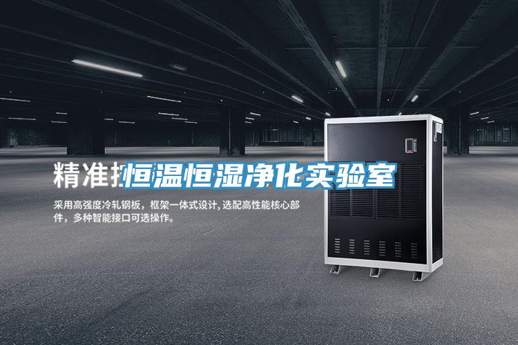 恒溫恒濕凈化實(shí)驗室