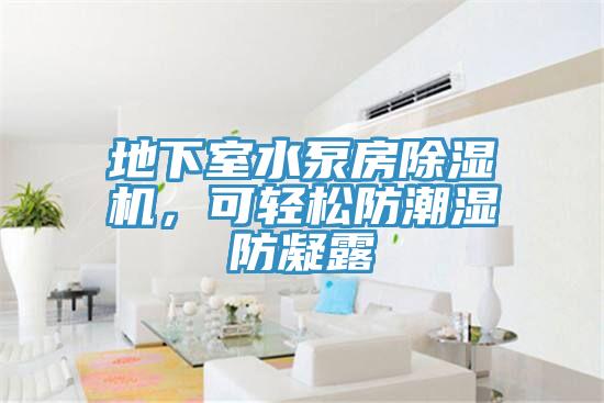 地下室水泵房除濕機，可輕松防潮濕防凝露