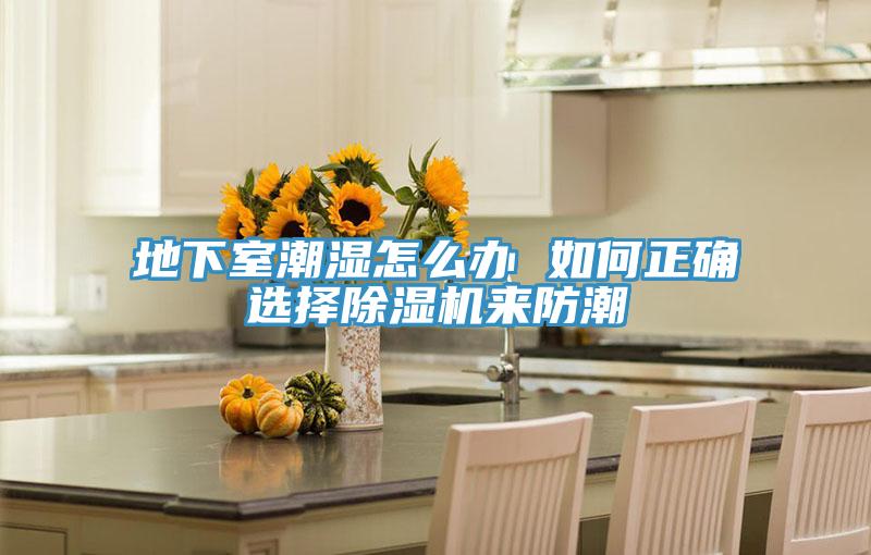 地下室潮濕怎么辦 如何正確選擇除濕機來(lái)防潮