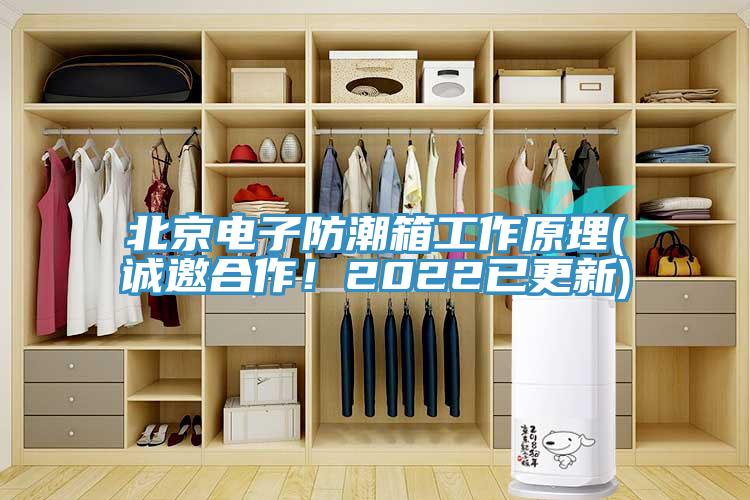 北京電子防潮箱工作原理(誠邀合作！2022已更新)