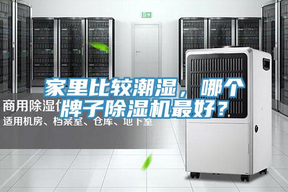 家里比較潮濕，哪個(gè)牌子除濕機最好？