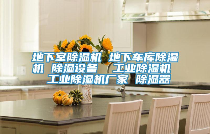 地下室除濕機 地下車(chē)庫除濕機 除濕設備  工業(yè)除濕機  工業(yè)除濕機廠(chǎng)家 除濕器