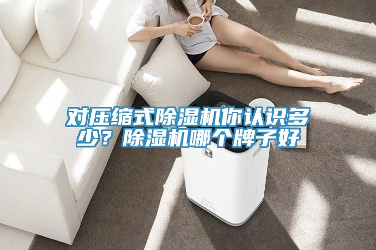 對壓縮式除濕機你認識多少？除濕機哪個(gè)牌子好