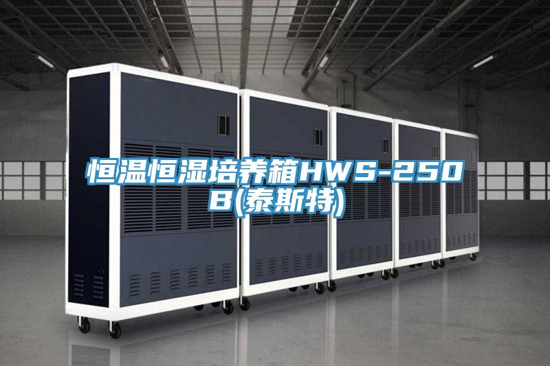 恒溫恒濕培養箱HWS-250B(泰斯特)