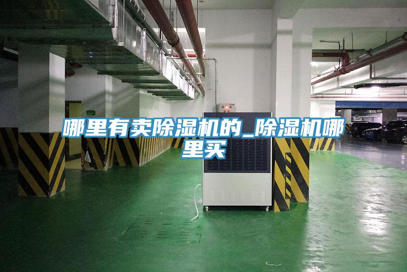 哪里有賣(mài)除濕機的_除濕機哪里買(mǎi)