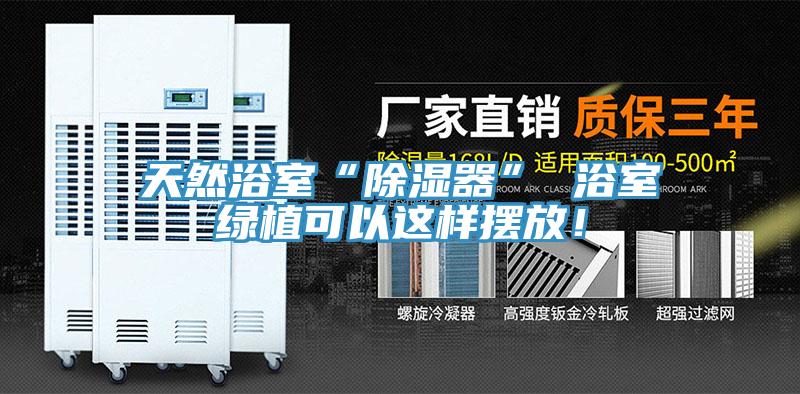 天然浴室“除濕器” 浴室綠植可以這樣擺放！