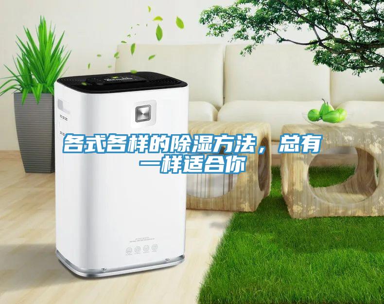 各式各樣的除濕方法，總有一樣適合你