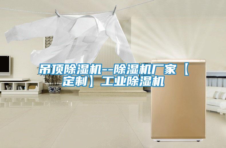 吊頂除濕機--除濕機廠(chǎng)家【定制】工業(yè)除濕機