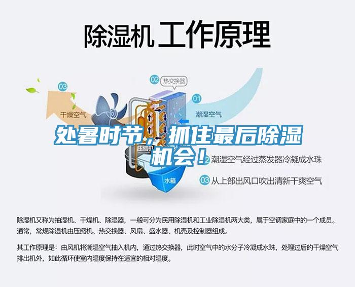 處暑時(shí)節，抓住最后除濕機會(huì )！