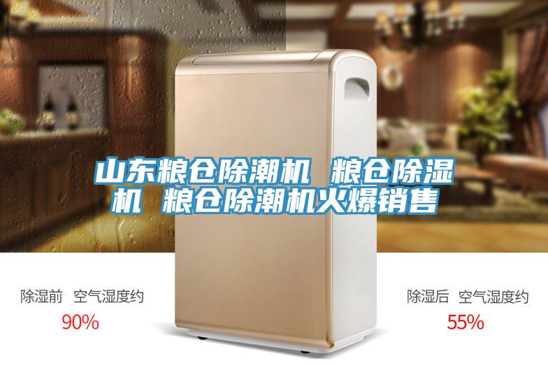 山東糧倉除潮機 糧倉除濕機 糧倉除潮機火爆銷(xiāo)售