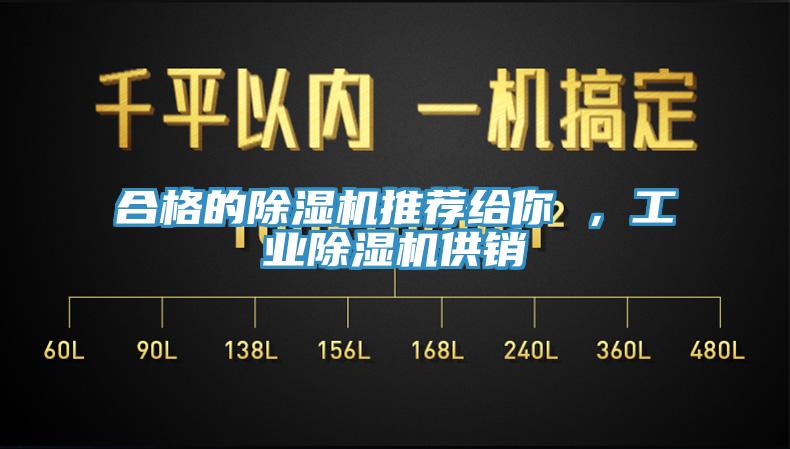 合格的除濕機推薦給你 ，工業(yè)除濕機供銷(xiāo)
