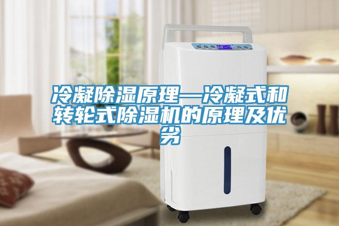 冷凝除濕原理—冷凝式和轉輪式除濕機的原理及優(yōu)劣