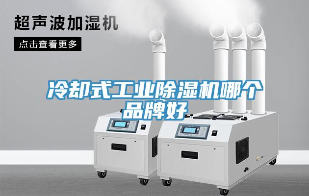 冷卻式工業(yè)除濕機哪個(gè)品牌好