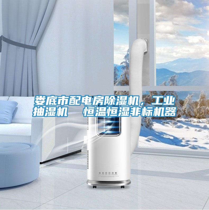 婁底市配電房除濕機，工業(yè)抽濕機  恒溫恒濕非標機器