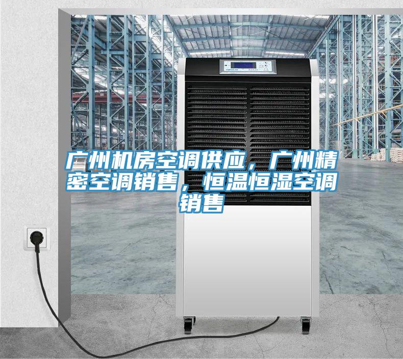 廣州機房空調供應，廣州精密空調銷(xiāo)售，恒溫恒濕空調銷(xiāo)售