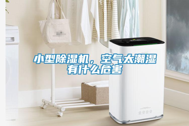 小型除濕機，空氣太潮濕有什么危害
