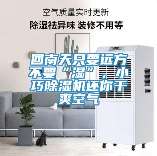 回南天只要遠方不要“濕”，小巧除濕機還你干爽空氣