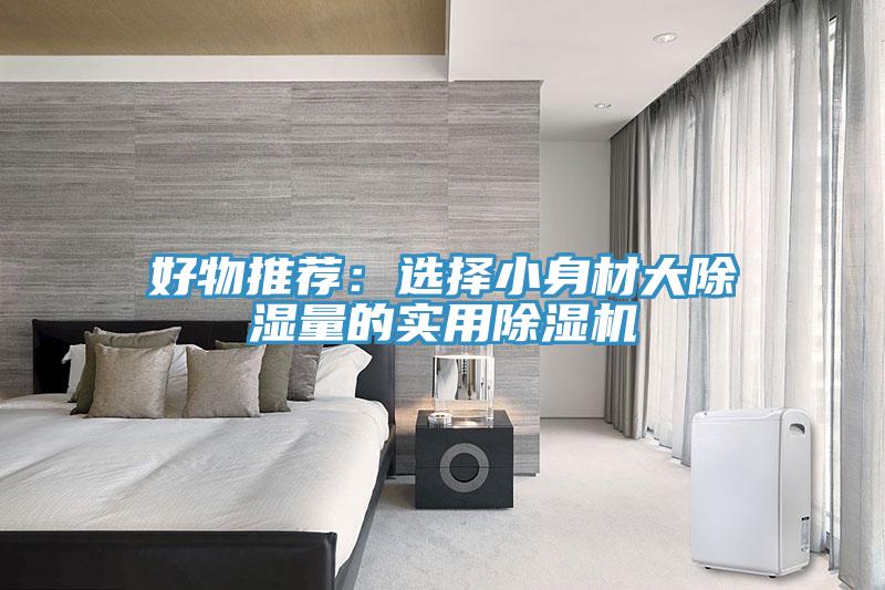 好物推薦：選擇小身材大除濕量的實(shí)用除濕機