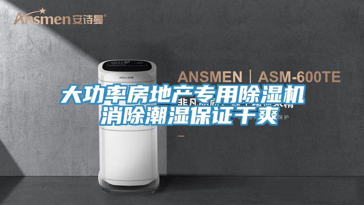 大功率房地產(chǎn)專(zhuān)用除濕機 消除潮濕保證干爽