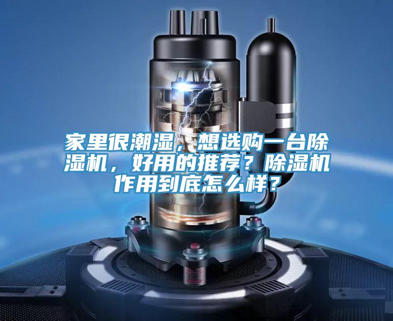 家里很潮濕，想選購一臺除濕機，好用的推薦？除濕機作用到底怎么樣？