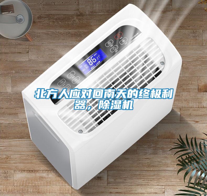 北方人應對回南天的終極利器，除濕機