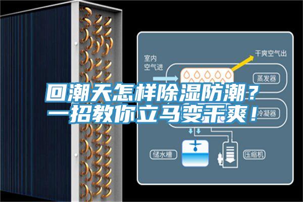回潮天怎樣除濕防潮？一招教你立馬變干爽！