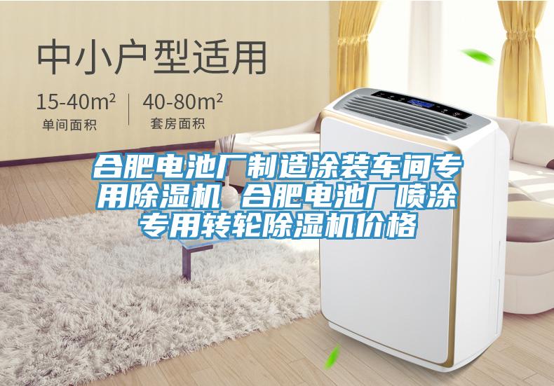 合肥電池廠(chǎng)制造涂裝車(chē)間專(zhuān)用除濕機 合肥電池廠(chǎng)噴涂專(zhuān)用轉輪除濕機價(jià)格